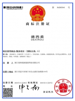 浙江德西瑞新能源商标注册证 (1)