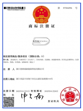 浙江德西瑞新能源商标注册证 (5)